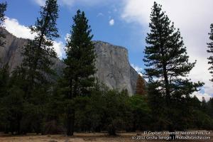 Yosemite-El-Capitan-11
