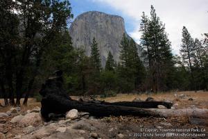 Yosemite-El-Capitan-14