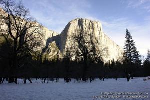 Yosemite-El-Capitan-15