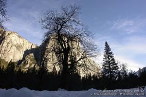 Yosemite-El-Capitan-16