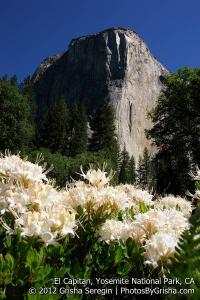 Yosemite-El-Capitan-5