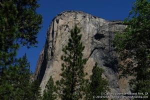 Yosemite-El-Capitan-8