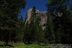 Yosemite-El-Capitan-9